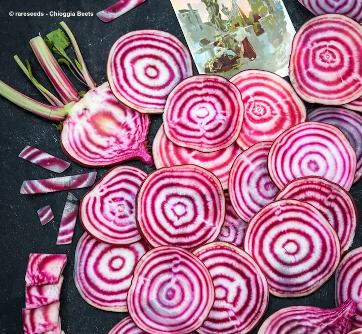 Dehydrating Beets: Make Crispy Homemade Chips