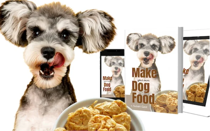 How to Make Dog Food So Delicious Your Pup Can t Resist