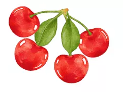 Fresh red cherries on stems